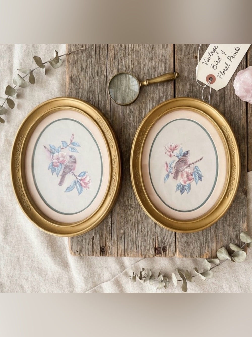 Vintage  Bird Prints – Gold Oval Frames with Floral Detail, Set of 2